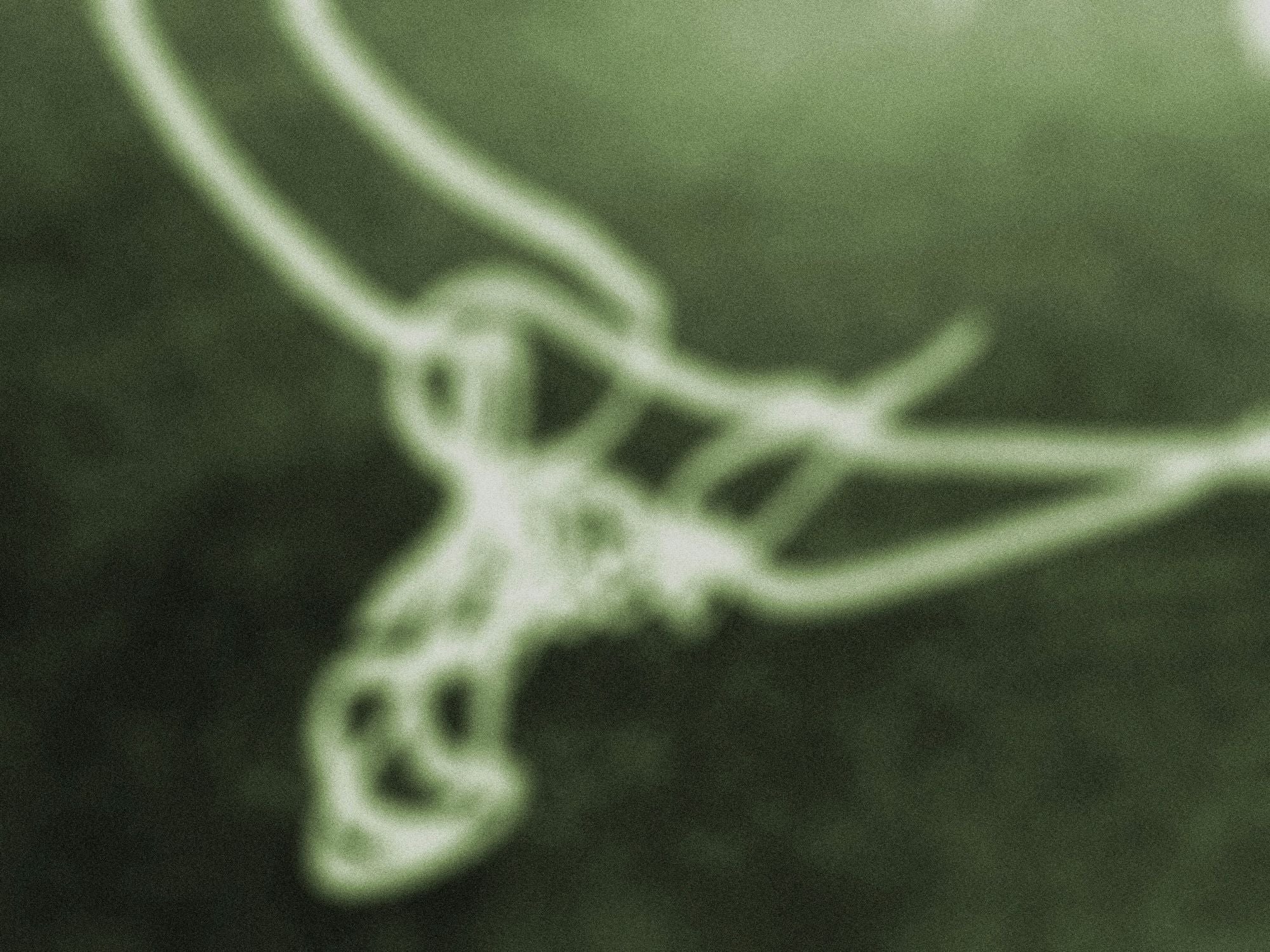 Display Image